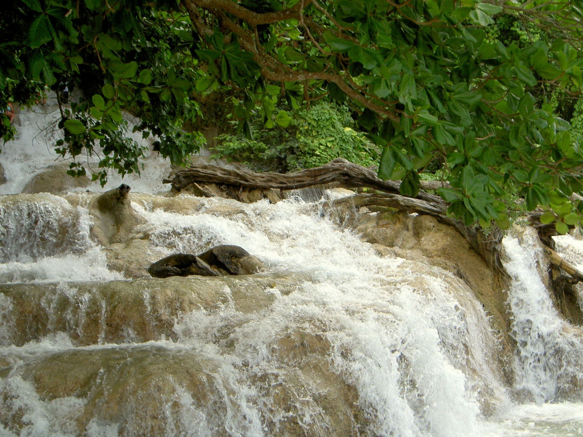 Dunn's River Falls, Ocho Rios, Jamaica